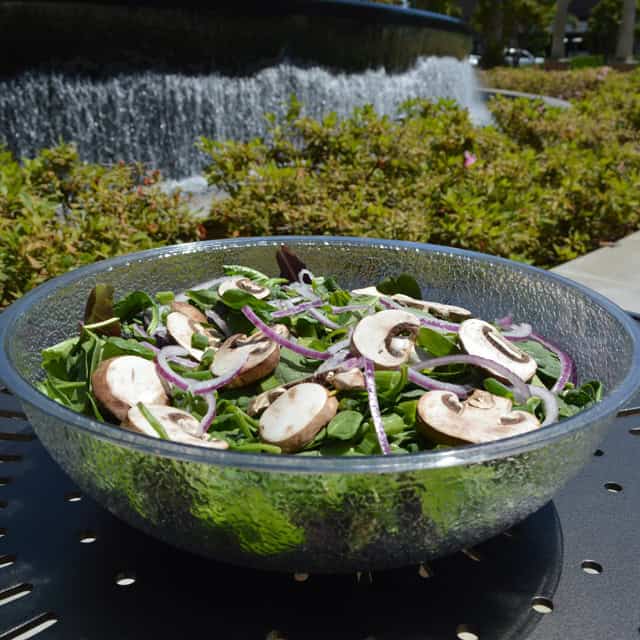 0048572_2.jpg Fresh mushroom and onion salad in a glass bowl on outdoor table by a fountain, emphasizing hygiene and food safety standards.