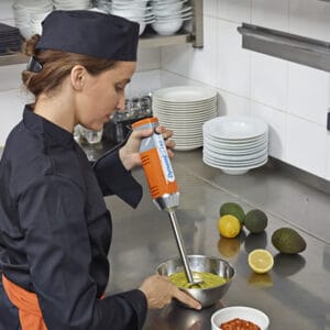 Dynamix 160 Standard Detachable Stick Blender, 220V