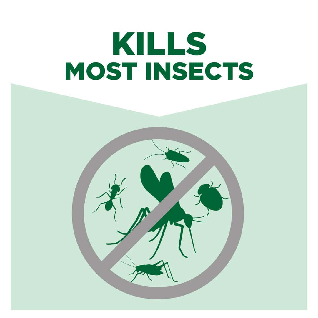 ginee_20240218150338469_0523174077.jpg Kills most insects with eco-friendly pest control solutions by Beyond Hygiene Asia.