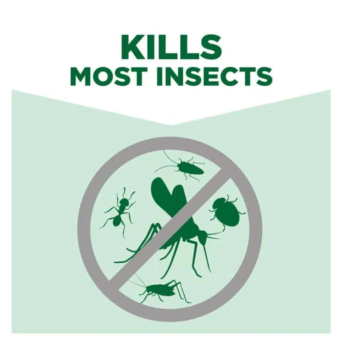 Kills most insects including ants, mosquitoes, flies, and beetles with effective pest control solutions by Beyond Hygiene Asia.