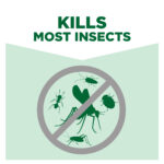 Baygon Multi Insect Killer Water-Based - 300ml - Image 3