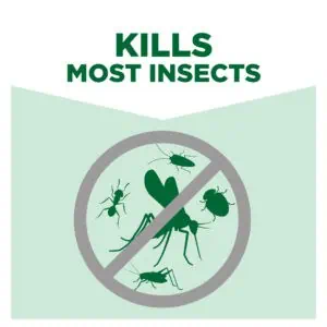 Kills most insects, including ants, mosquitoes, flies, and bugs, with eco-friendly pest control solutions from Beyond Hygiene Asia. Effective indoor and outdoor pest management services.