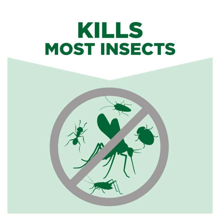 Kills most insects, including ants, mosquitoes, flies, and bugs, with eco-friendly pest control solutions from Beyond Hygiene Asia. Effective indoor and outdoor pest management services.