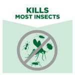 Baygon Protector Crawling Insect Killer - 500ml - Image 3