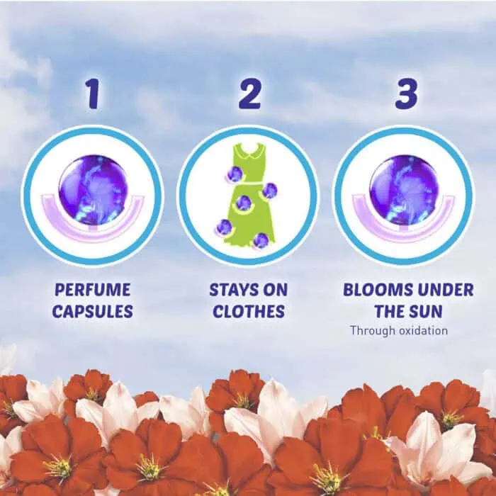 Beyond-hygiene-asia-odor-elimination-illustration.jpg.