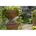 Beyond hygiene asia, pressure washing plants and garden decor, professional cleaning service, outdoor garden maintenance, eco-friendly cleaning solutions, detailed garden care, expanding garden spaces with pressure washers.