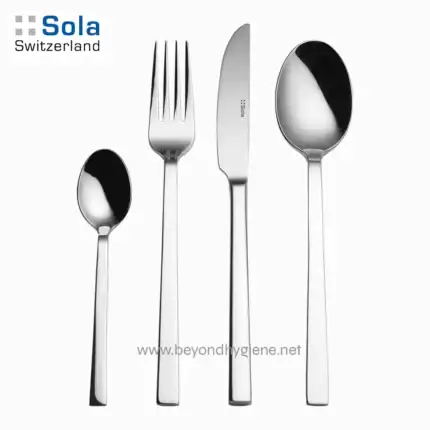 Shiny stainless steel cutlery set including a teaspoon, fork, butter knife, and tablespoon, ideal for kitchen and dining table use, with a modern design, promoted by Beyond Hygiene Asia.