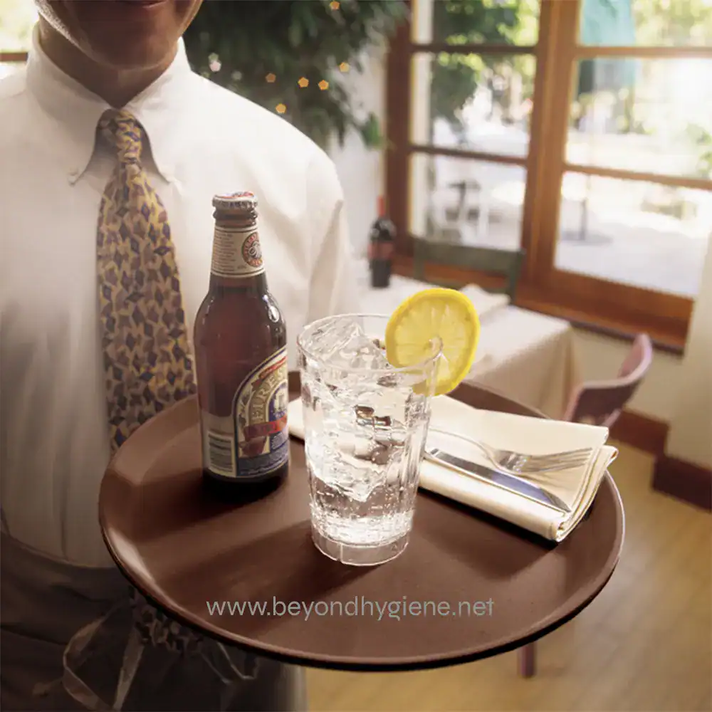 0048500_2 Refreshing drink with lemon slice on ice glass served in restaurant, with a beer bottle nearby, hospitality and food service setting.