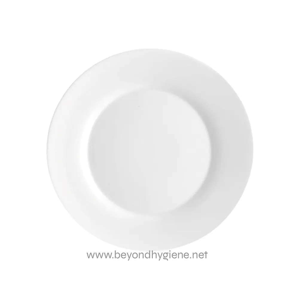 1015276_1 Smooth white ceramic plate, ideal for dining and catering needs, emphasizing hygiene and quality in Asian food presentation.