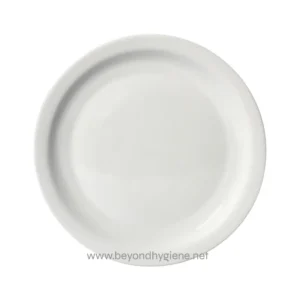 White ceramic plate for hygiene and sanitation needs.