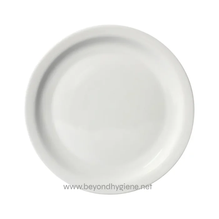 White ceramic plate for hygiene and sanitation needs.