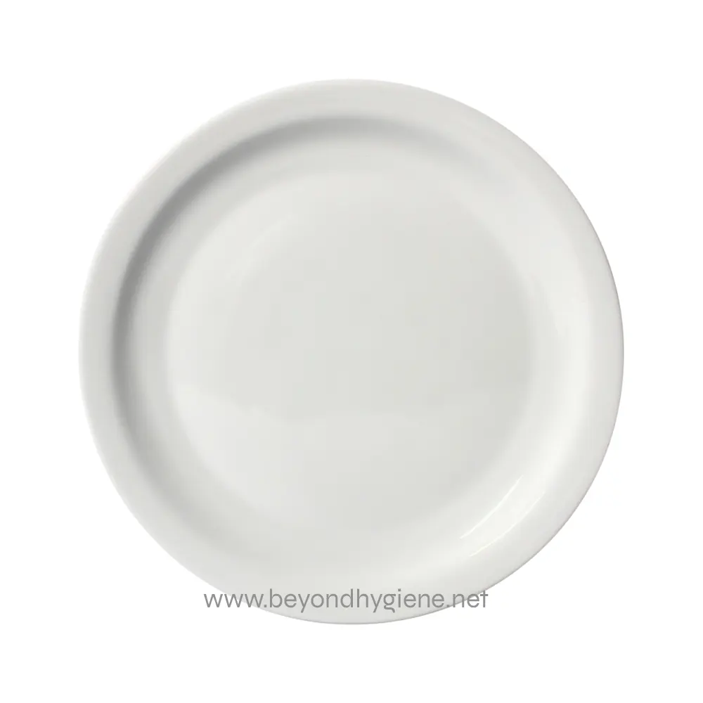 99-405810 White ceramic plate for hygiene and sanitation needs.