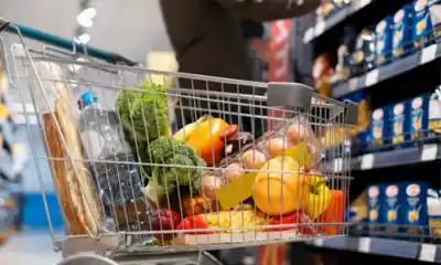 Fresh vegetables and fruits in a shopping cart at Beyond Hygiene Asia, promoting healthy food choices and hygiene-friendly grocery shopping solutions.