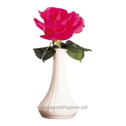 Pink rose in white vase, floral decor, Beyond Hygiene Asia, elegant flower arrangement, home and office floral decorations, eco-friendly floral display, aesthetic flower art, natural elegance, floral aesthetic, luxury flower decor.