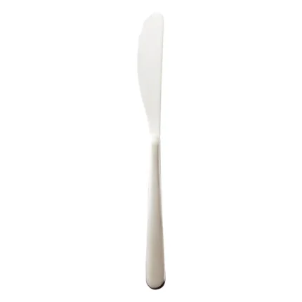 Stainless steel butter knife for dining and food presentation.