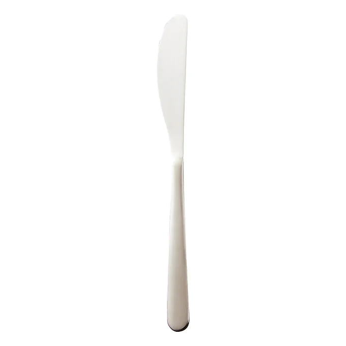d612ea_863195b2bae8422fbc6dda6fa8024c6c~mv2 Stainless steel butter knife for dining and food presentation.