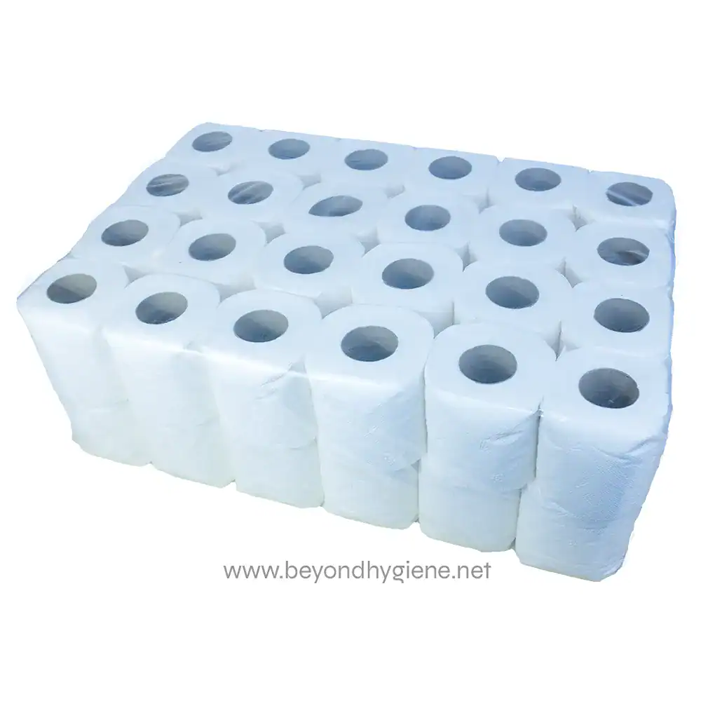2 Soft white toilet paper rolls for hygiene and sanitation, ideal for commercial and residential use.