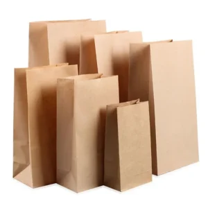 Biodegradable paper shopping bags on white background, eco-friendly packaging, Beyond Hygiene Asia sustainability products, kraft paper bags for retail, environmentally conscious online shopping packaging.