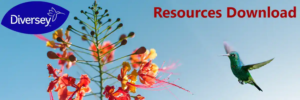 Diversey logo on a background of colorful flowers and a hummingbird, promoting resources download for hygiene and cleaning solutions.