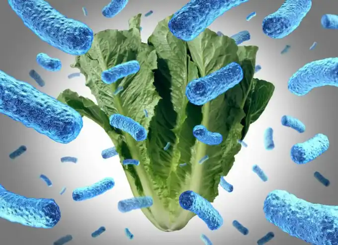 Probiotic bacteria around fresh lettuce, illustrating microbiome health and food safety concepts.