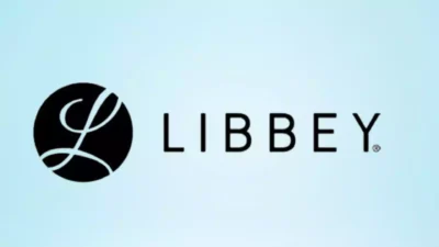 Lisbey logo displayed on a light blue background, representing quality and trusted brand in professional hygiene and cleaning solutions.