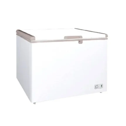 High-capacity commercial freezer for hygiene and storage, ideal for food businesses and healthcare facilities in Asia.