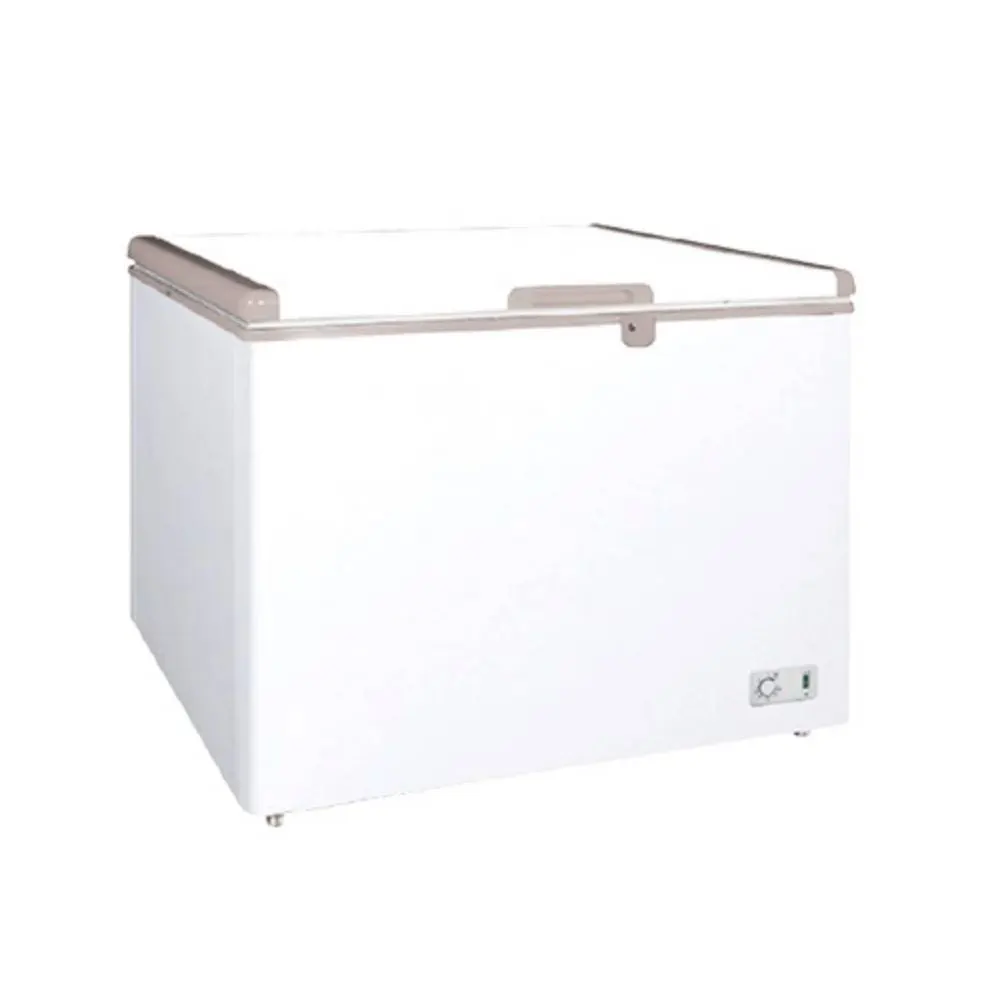 Chest Type Freezer HARD TOP BD-266 High-capacity commercial freezer for hygiene and storage, ideal for food businesses and healthcare facilities in Asia.