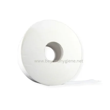 White toilet paper roll for hygiene and sanitation supplies in Asia.