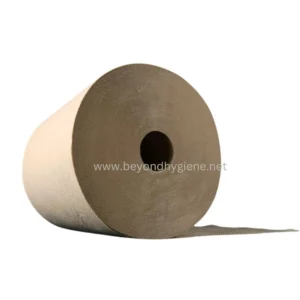 Roll of paper towels, hygiene, sanitation, public health, cleaning supplies, Beyond Hygiene Asia.