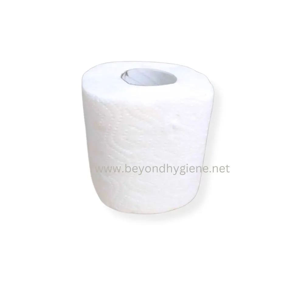 GOODLY BATHROOM TISSUE Soft white toilet paper roll for hygiene and sanitation, suitable for residential and commercial use. Promoting cleanliness with high-quality hygiene products from Beyond Hygiene Asia.