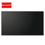 Professional LCD Monitor PN-HW751