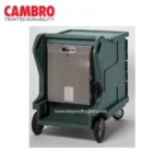 Camtherm® Hot Only Cart - Low (GREEN)