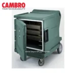 Camtherm® Hot Only Cart - Low (GREEN)