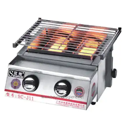 Stainless steel commercial gas grill with dual burners and adjustable controls, ideal for food service establishments and outdoor cooking. Perfect for quick, safe, and efficient grilling.
