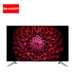 Sharp LED TV displaying vibrant pink and red floral imagery, ideal for home entertainment and high-resolution viewing experiences.