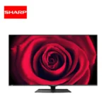 Vibrant red rose displayed on a Sharp LED TV screen showcasing high-definition digital display technology.